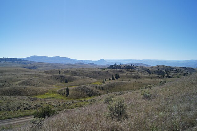 A grassland with rolling hills.