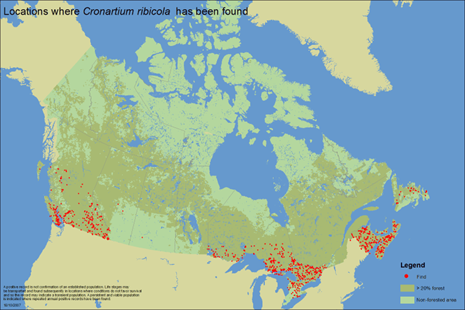 Cronartium ribicola has been found mostly in Southern Canada. It has been found in all provinces except for Manitoba.